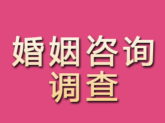 崇川婚姻咨询调查