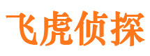 崇川市调查公司